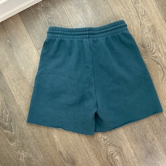 Aritzia Tna Cozy Fleece Boyfriend Sweat Short 6” High Rise Waist Size Small blue - Picture 9 of 10